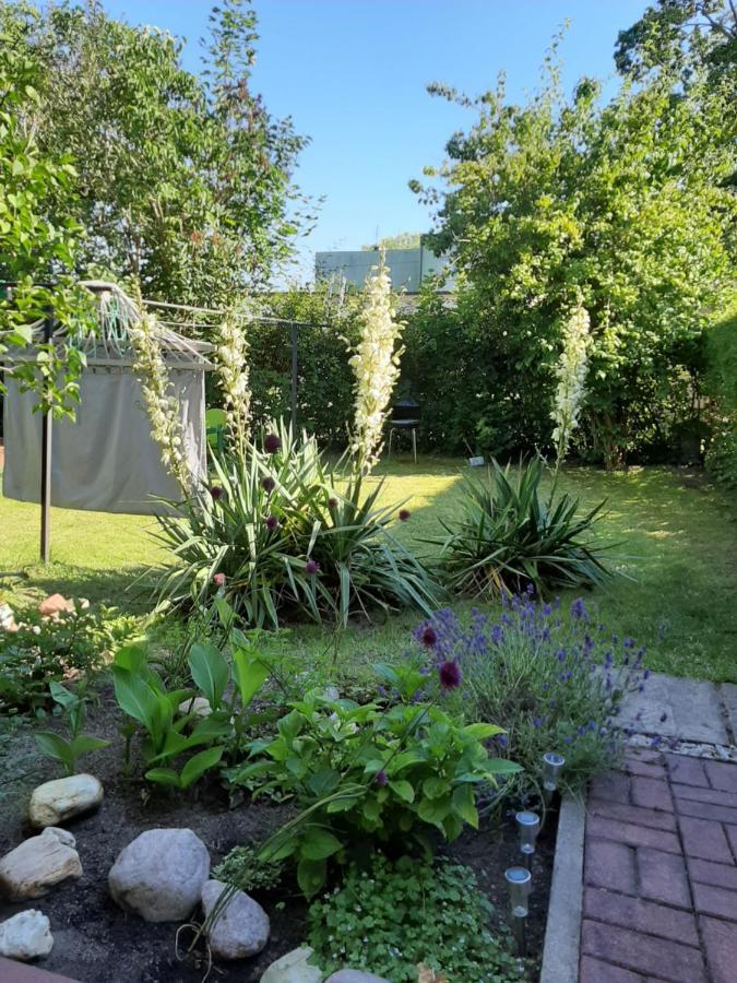 Apartament - 3 Pokojowe Dwupoziomowe Mieszkanie Z Ogrodem 克罗科瓦 外观 照片