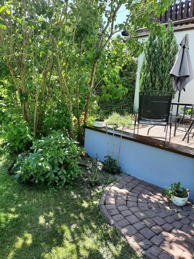 Apartament - 3 Pokojowe Dwupoziomowe Mieszkanie Z Ogrodem 克罗科瓦 外观 照片